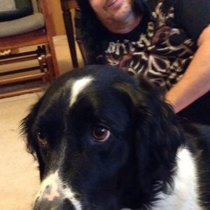 Meet your Posher, Tyson